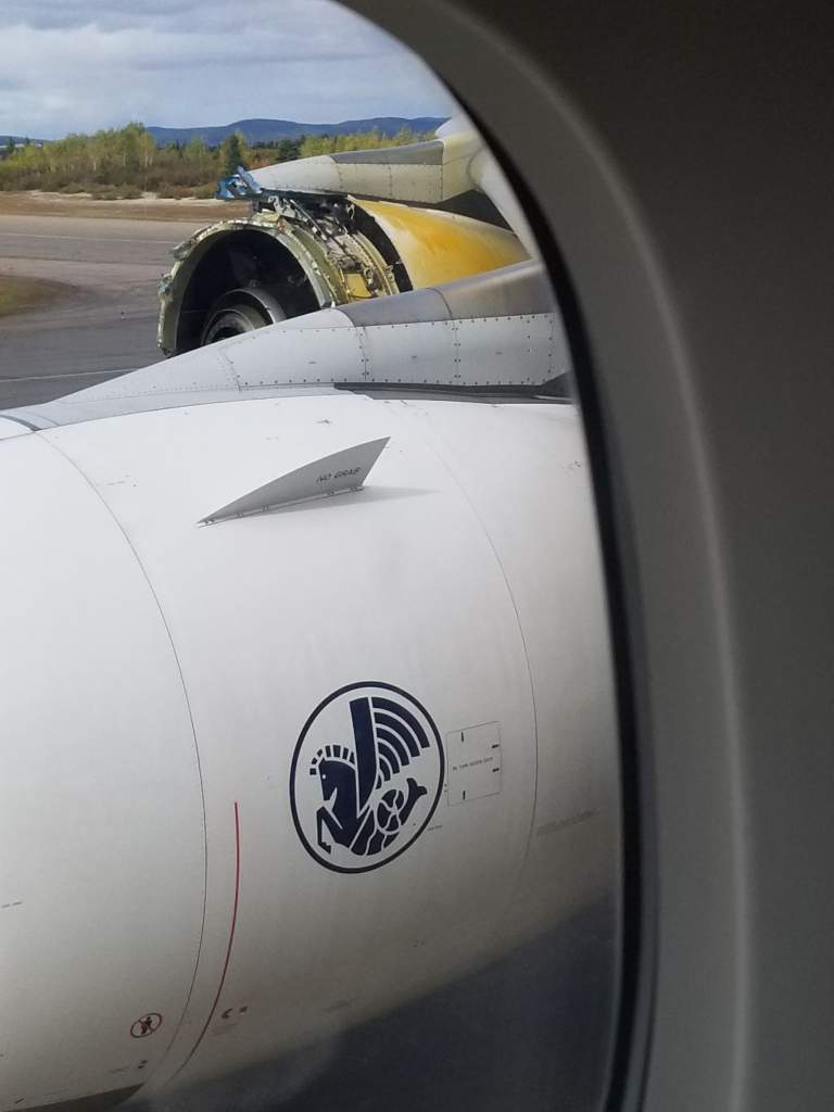 British Airways flight 066 from Paris to Los Angles engine failure.