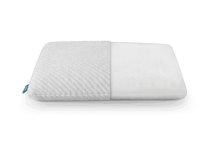 Leesa Pillow | January 2021 leesa pillow