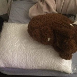 nest bedding easy breather pillow