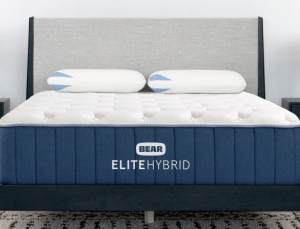 Bear Elite Hybrid review