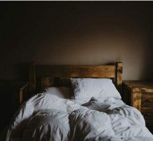 Bed bug mold on mattress