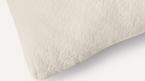 Birch Organic Pillow coupon code