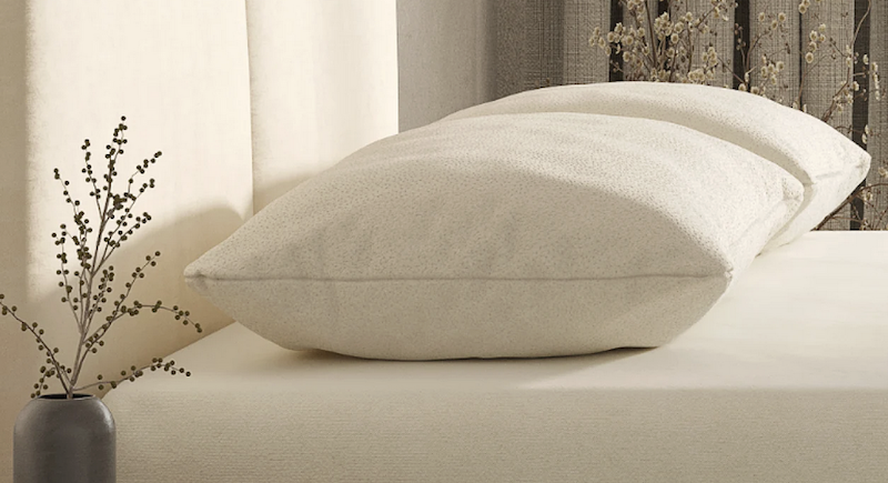 Birch Organic Pillow review