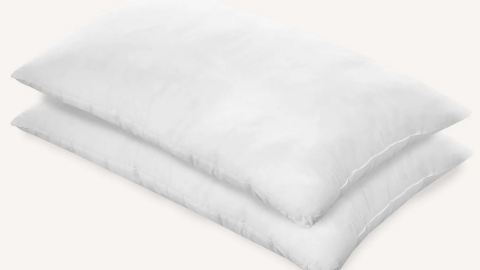 Birch eco-rest pillow coupon code