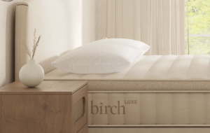 Birch eco-rest pillow set review