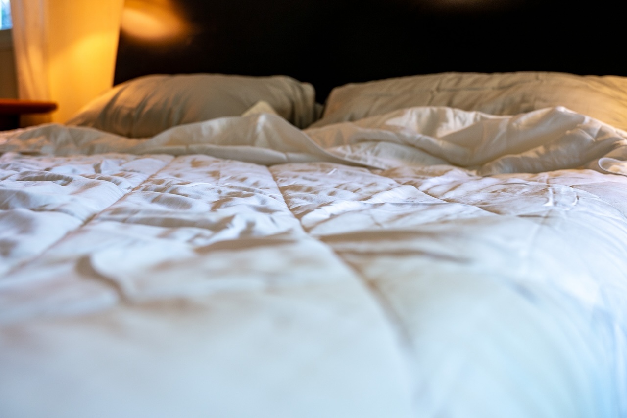 Aeptom tencel lyocell comforter