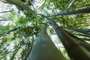 Do bamboo mattresses have fiberglass