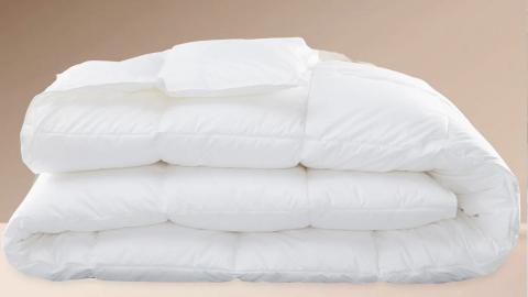 eucalypso comforter review
