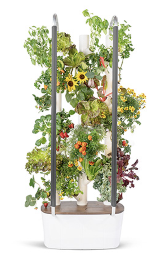 eco conscious mother's day gift indoor garden