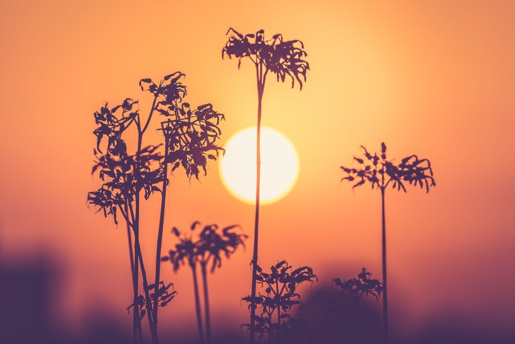How to Sleep in Hot Weather Without AC