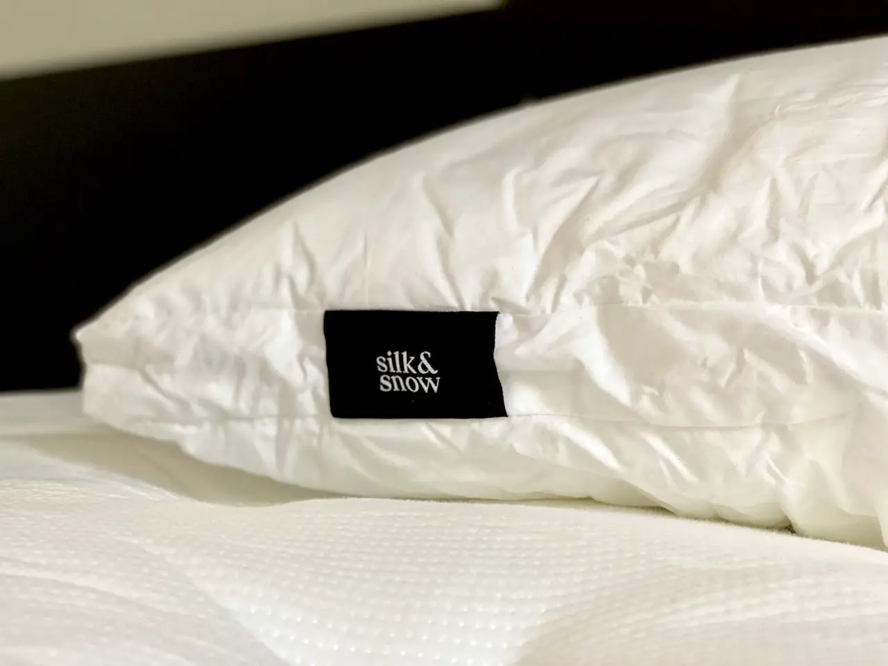 Silk and Snow Pillow Review