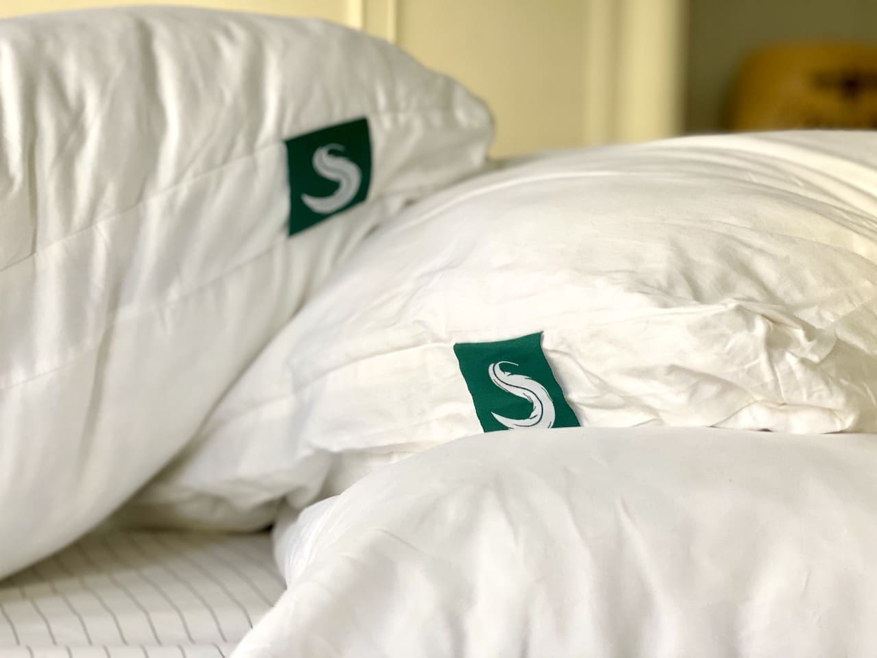 the sleepgram pillow