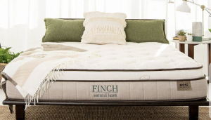 Nest Bedding Finch Mattress review
