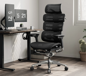 OdinLake Ergo MAX 747 review and discount