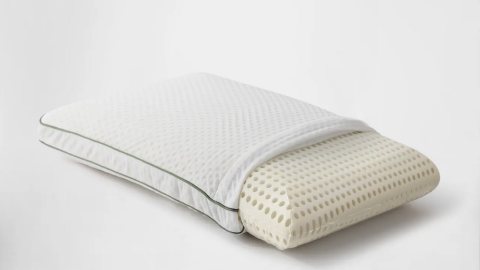 Silk & Snow Eco Soy Pillow review