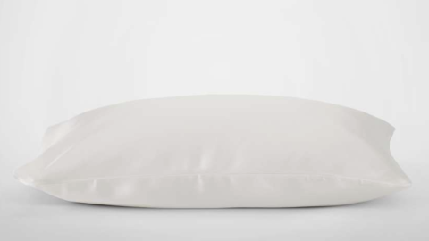 Silk & Snow Silk Pillowcase coupon