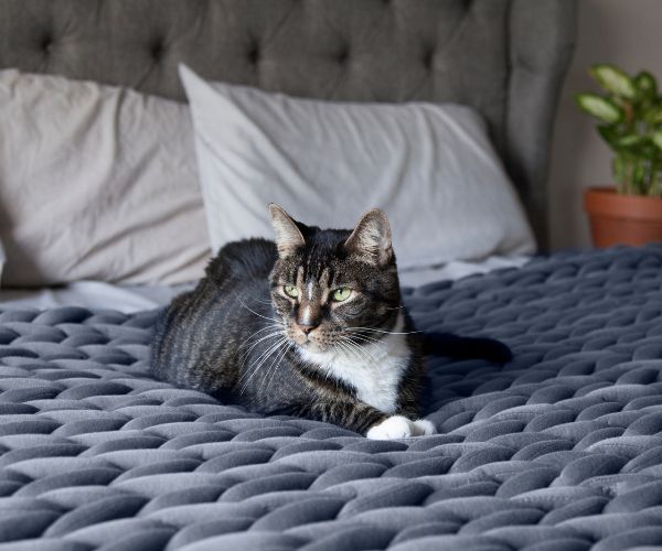 weighted blanket for anxiety