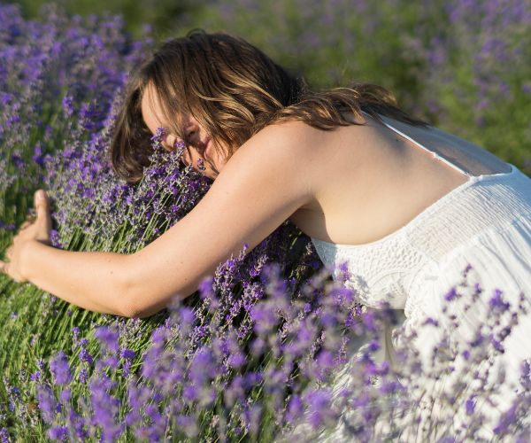 Does Lavender Help You Sleep? | Exploring The Science | May 2026 does lavender help you sleep